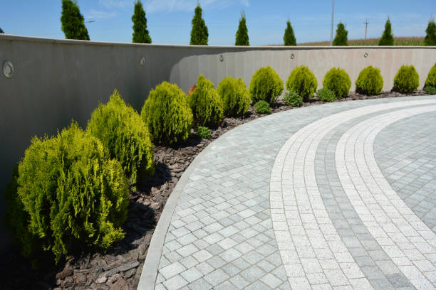 Reasons to Select Us for Your Driveway Paving Requirements in Wedgefield, SC